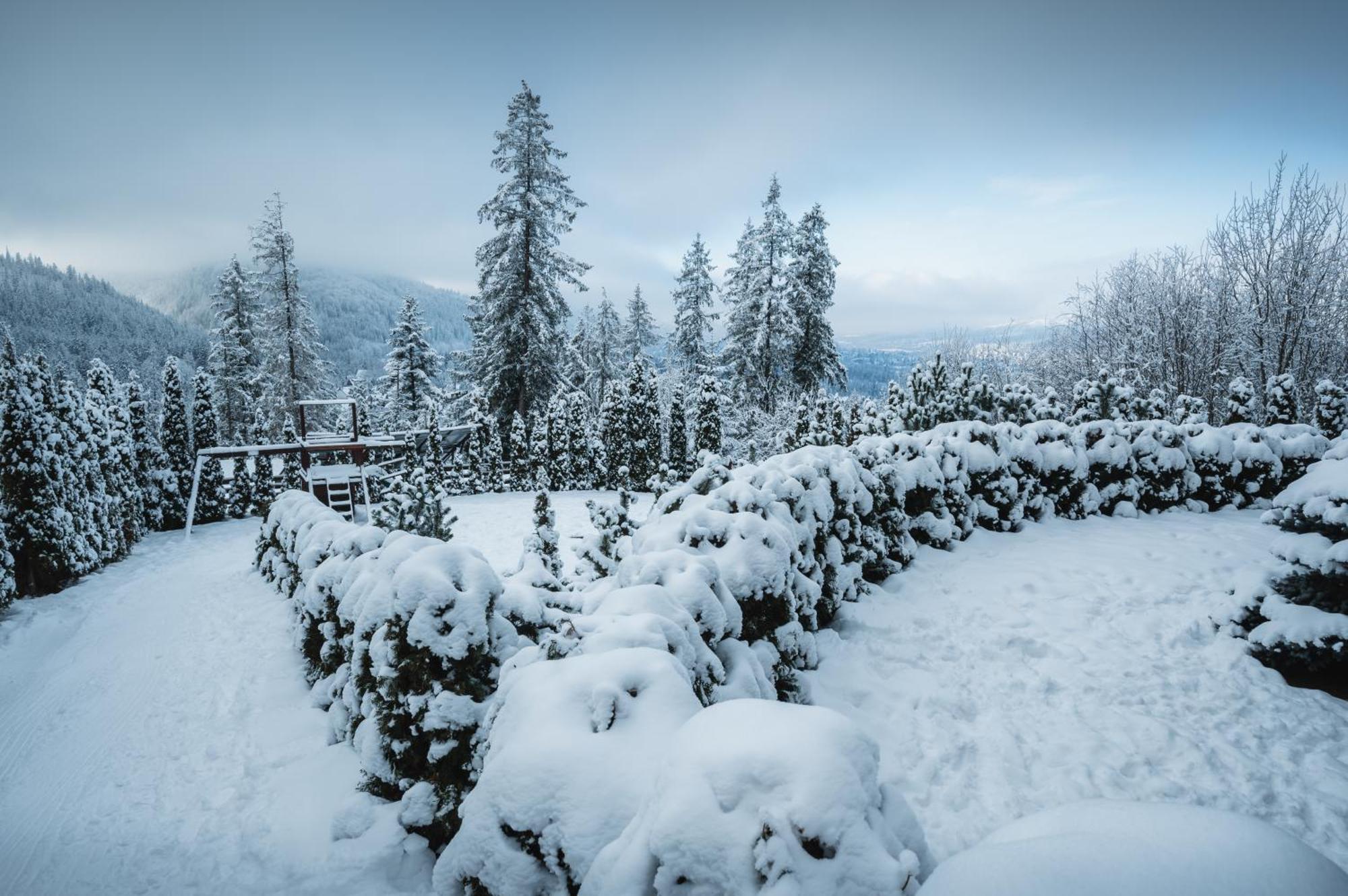 Visitzakopane - Janosik Apartment Esterno foto